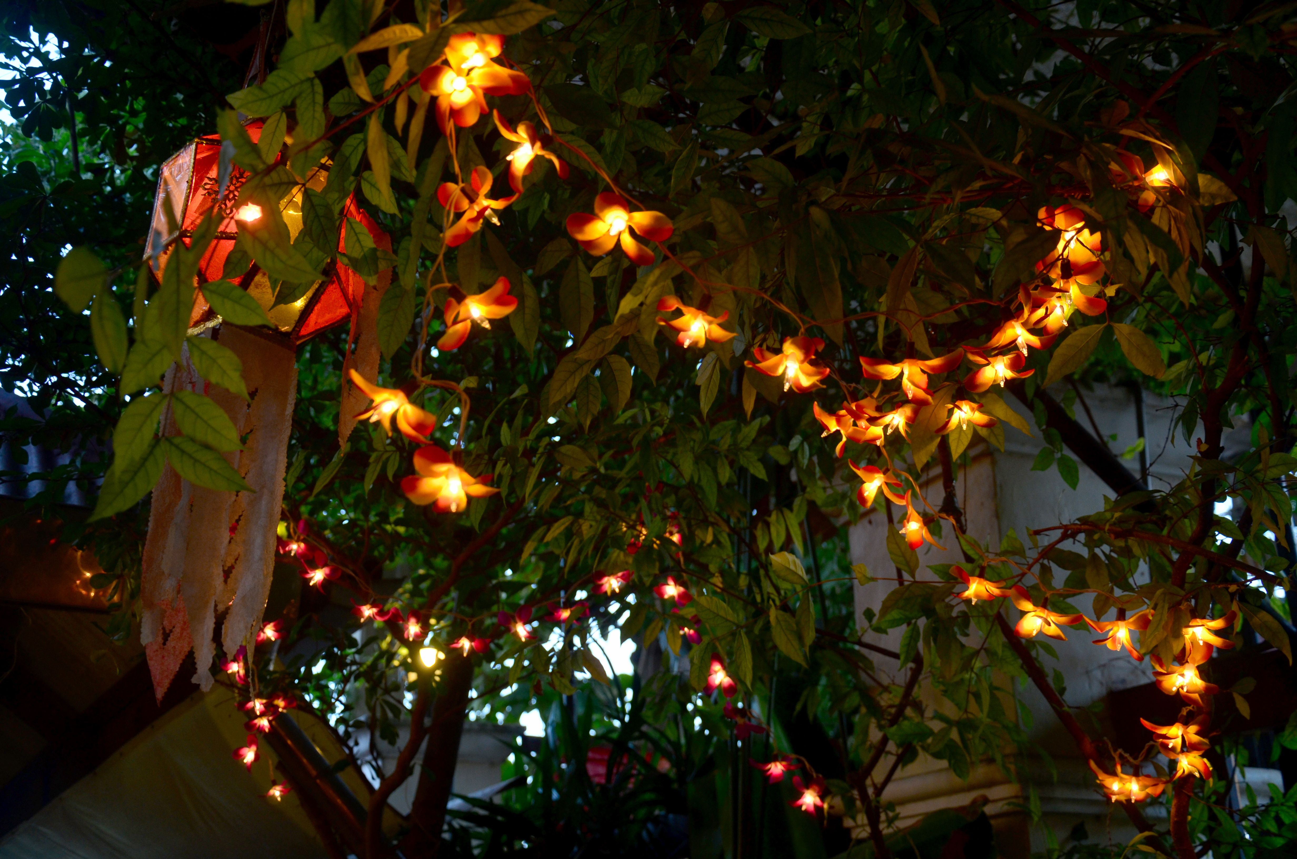 Lighting on tree in garden